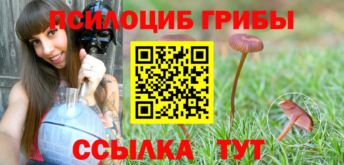 Псилоцибиновые грибы Magic Shrooms  Вход с VPN  Дербент 